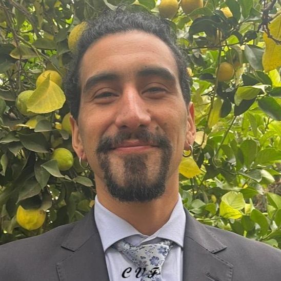 Cristóbal Andrés Vallejos Fuenzalida, Psicólogo Valdivia