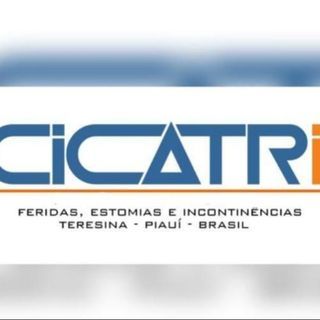 Livia Tomaz Ulisses Gonçalves, Enfermeiro Teresina