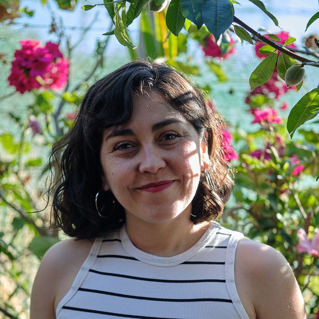 Isabel Berríos Reyes, Psicólogo Valparaíso