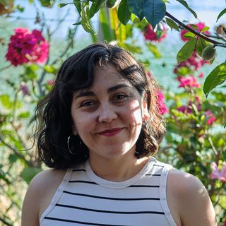 Ps. Isabel Berríos Reyes