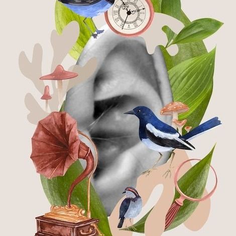 María Belén Lang, Psicólogo Trelew