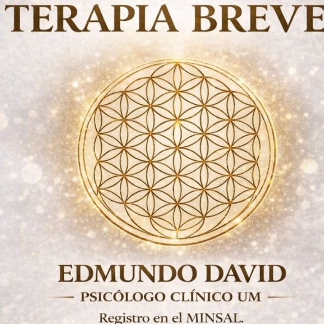 Edmundo David  Riquelme Torres , Psicólogo Villa Alemana