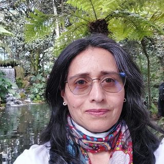 Dra. Liliana Pachón Sierra