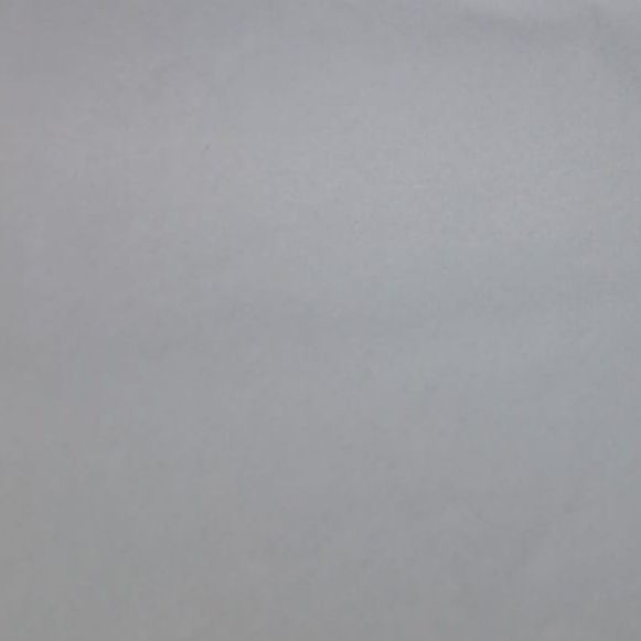 Helena Silva, Psicólogo Santiago