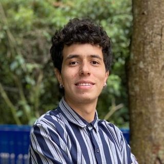 Prof. David Álvarez Ortíz