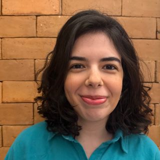  Lara Paranhos Faria Palacios Alegria