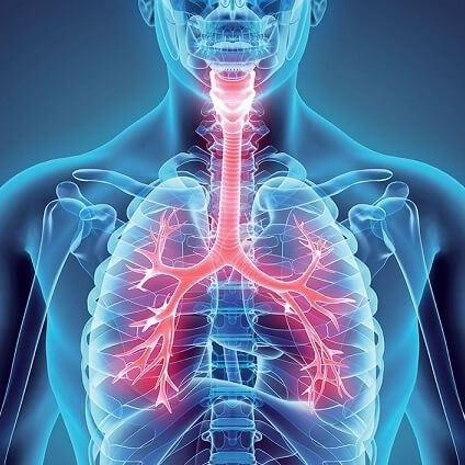 Miguel Duarte Martins Estaregui, Pneumologista Sorocaba