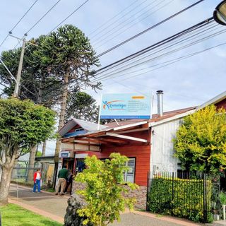 Acercar imagen: Miguel Herrera Morales, Kinesiólogo Vilcún