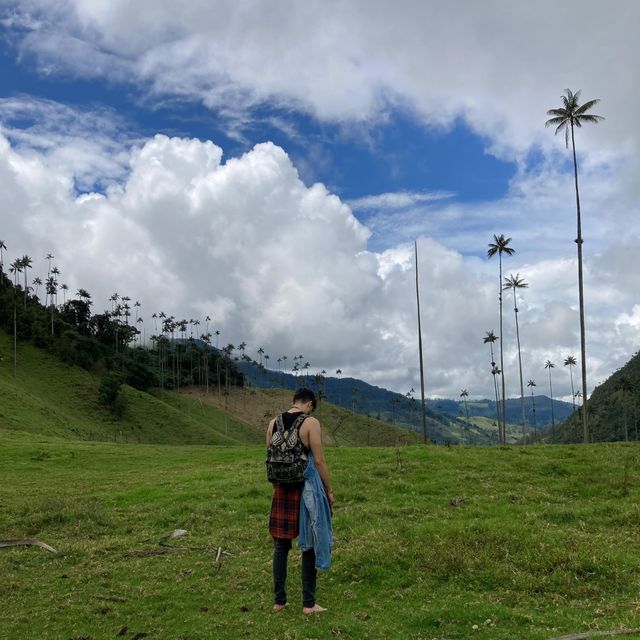 Juan David Agudelo Hernández, Psicólogo Manizales