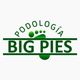 big pies podolgia