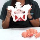  Juliana Victoria Chacón Fernández