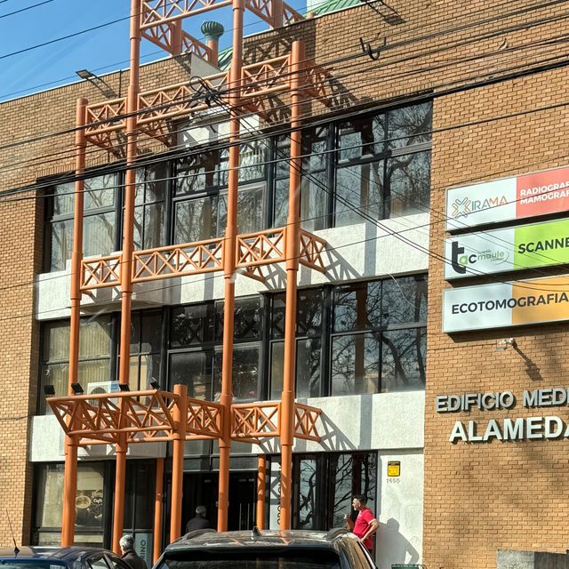 Claudia Ramirez Trillos, Psiquiatra Talca