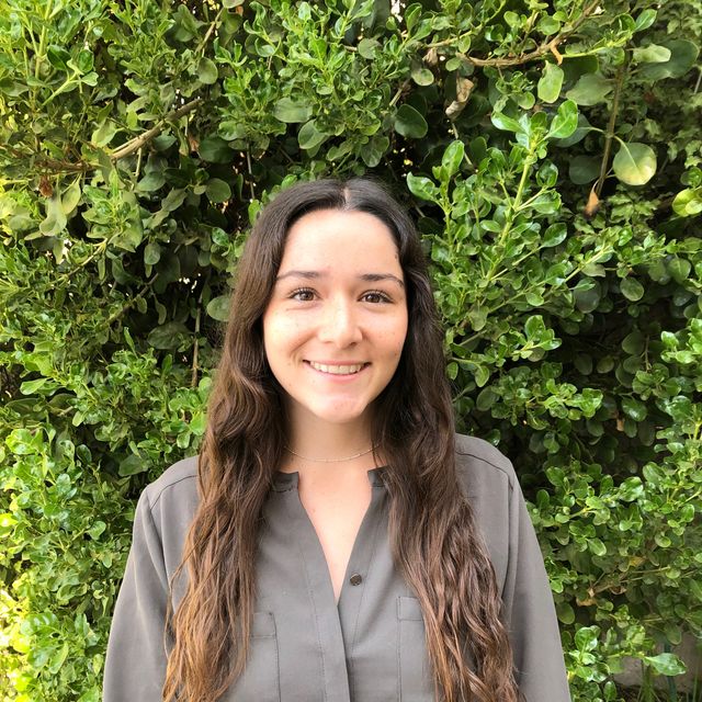 Dominique Bruna Nef, Psicólogo Santiago