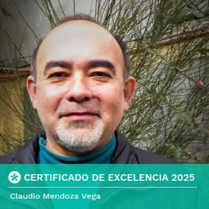 Claudio Mendoza Vega, Psicólogo Temuco