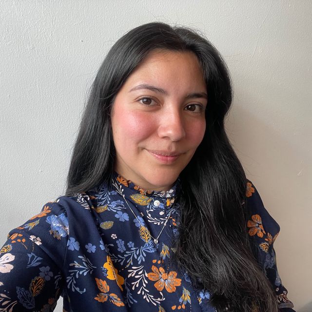 Giselle Erika Rioseco Padilla, Psicólogo Temuco