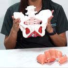  Leidy Carolina  Londoño Rios