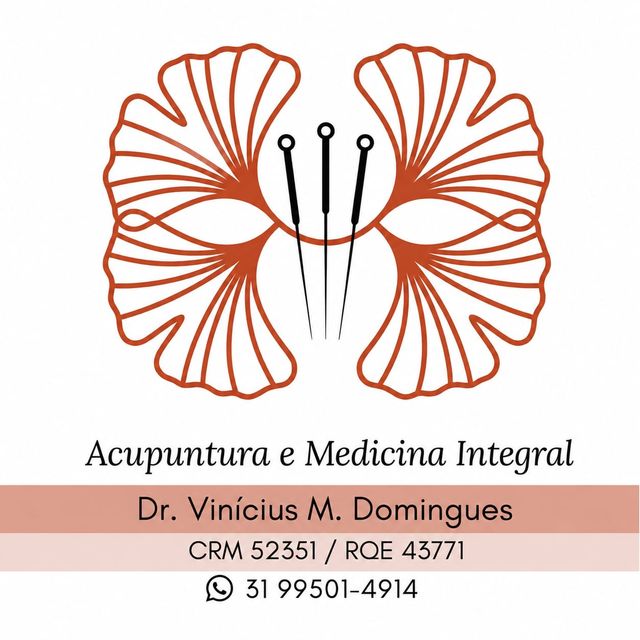 Vinícius de Moura Domingues 