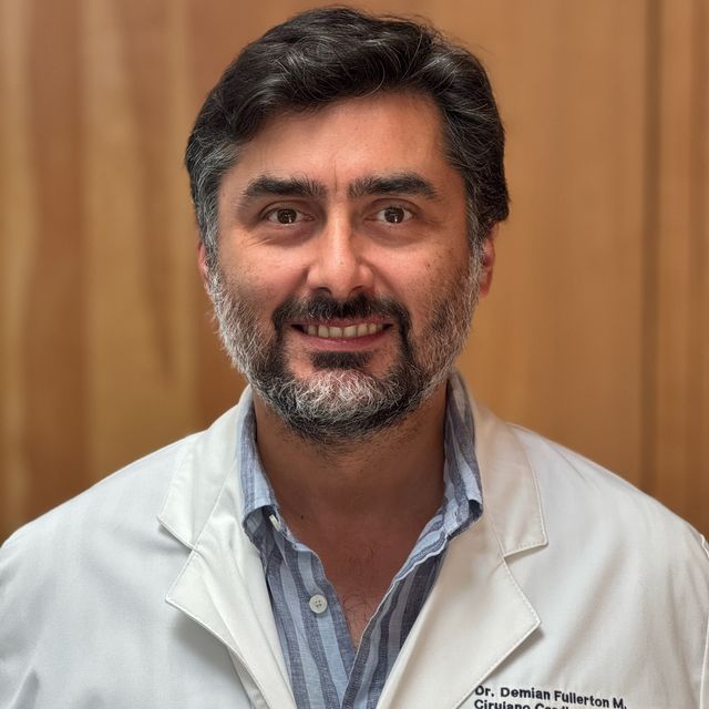 Demian Andrés Fullerton Moreno