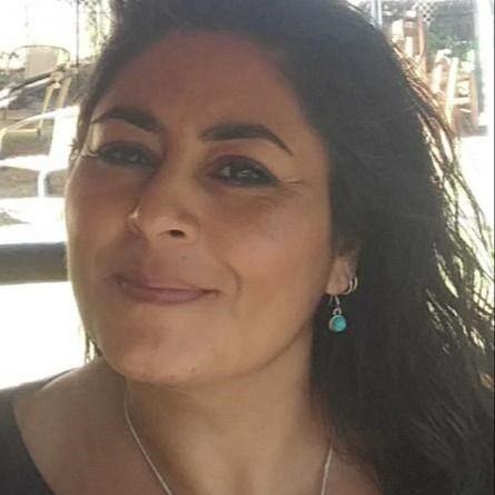 Karina Andrea Oses Silva, Psicólogo San Felipe