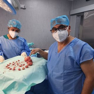 Dr. Adelmo Saavedra Azula