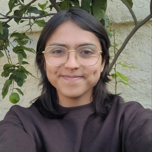 Nicolás Piña Muñoz, Psicólogo Santiago