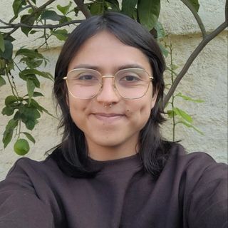 Acercar imagen: Nicolás Piña Muñoz, Psicólogo Santiago