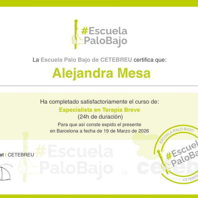 Acercar imagen: certificate 3