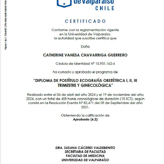Acercar imagen: certificate 13