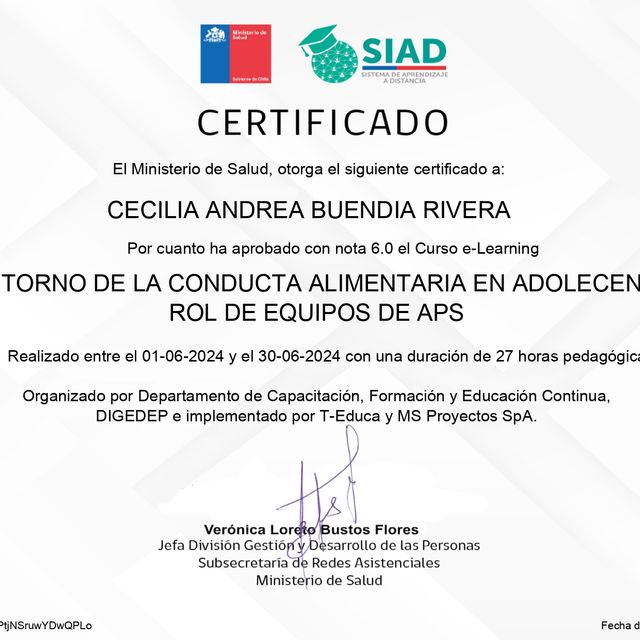 Acercar imagen: certificate 17