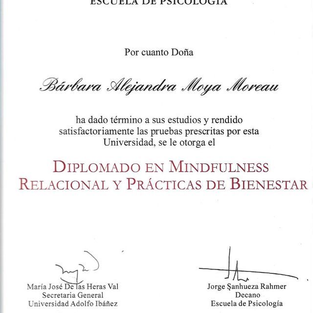 Acercar imagen: certificate 4