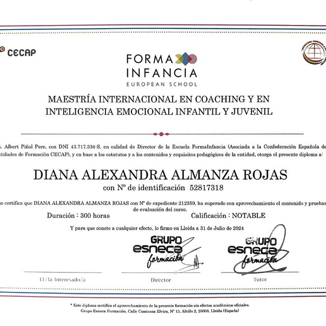 Acercar imagen: certificate 4