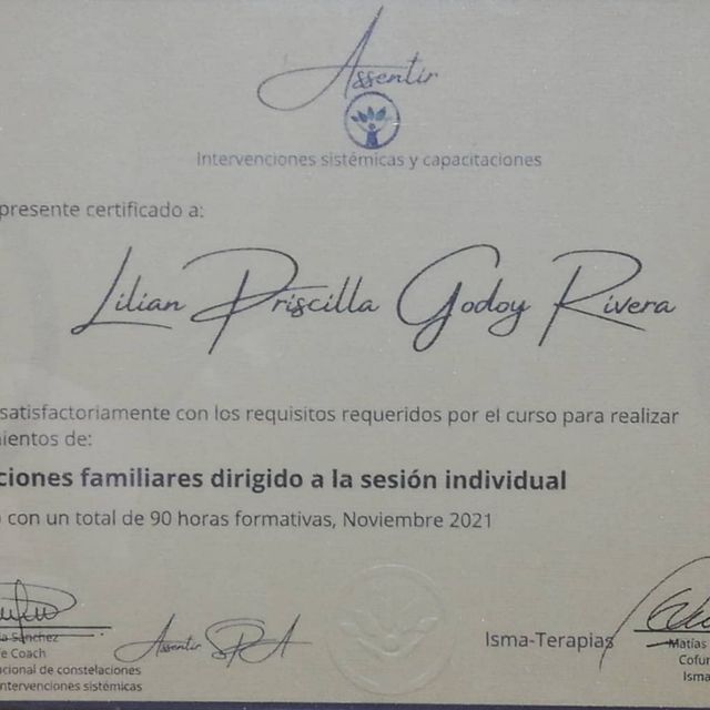 Acercar imagen: certificate 5