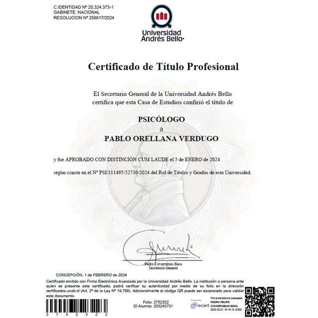 Acercar imagen: certificate 11