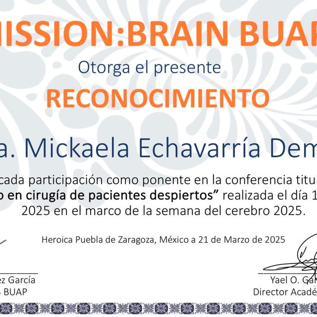 Acercar imagen: certificate 33