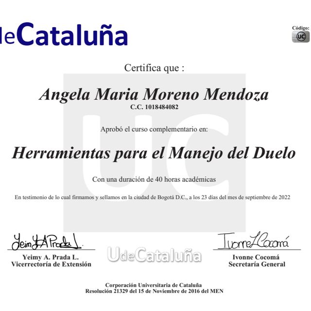 Acercar imagen: certificate 5