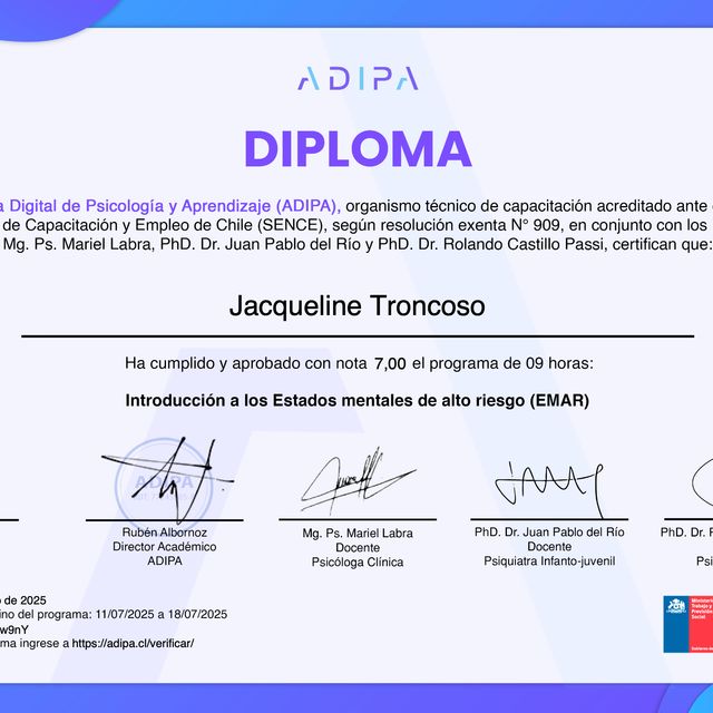 Acercar imagen: certificate 41