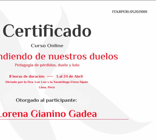 Acercar imagen: certificate 4