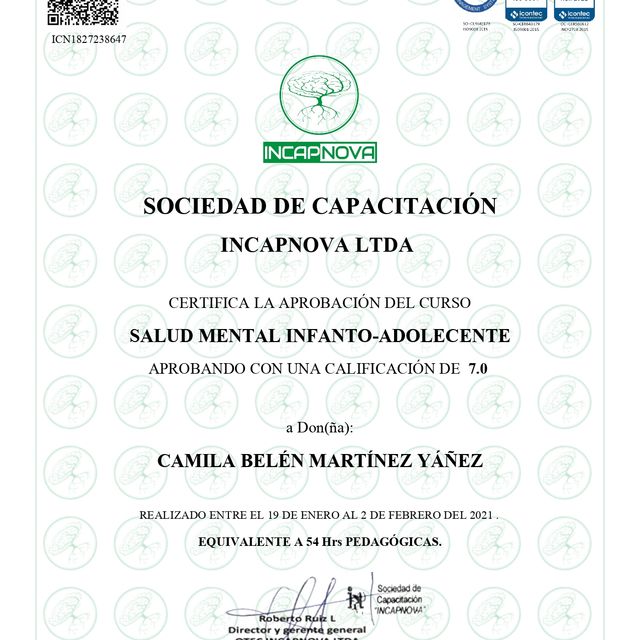 Acercar imagen: certificate 46