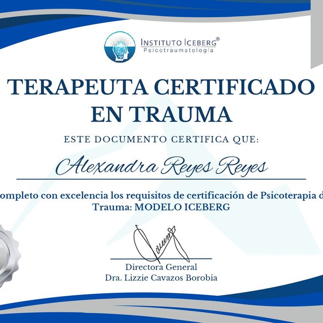Acercar imagen: certificate 3
