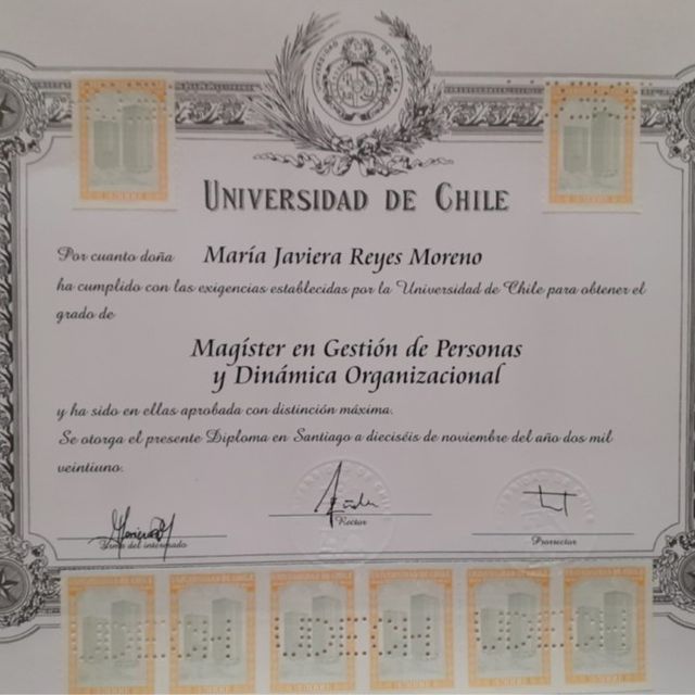 Acercar imagen: certificate 5