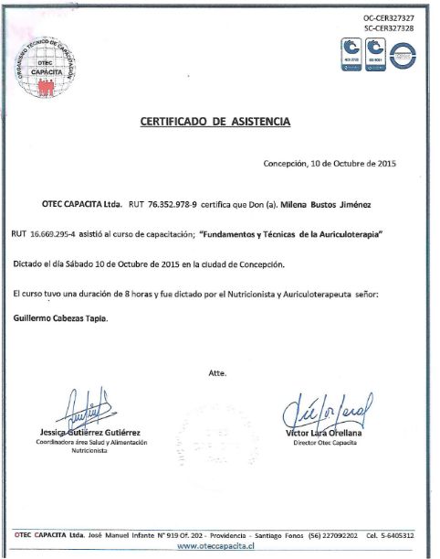 Acercar imagen: certificate 6