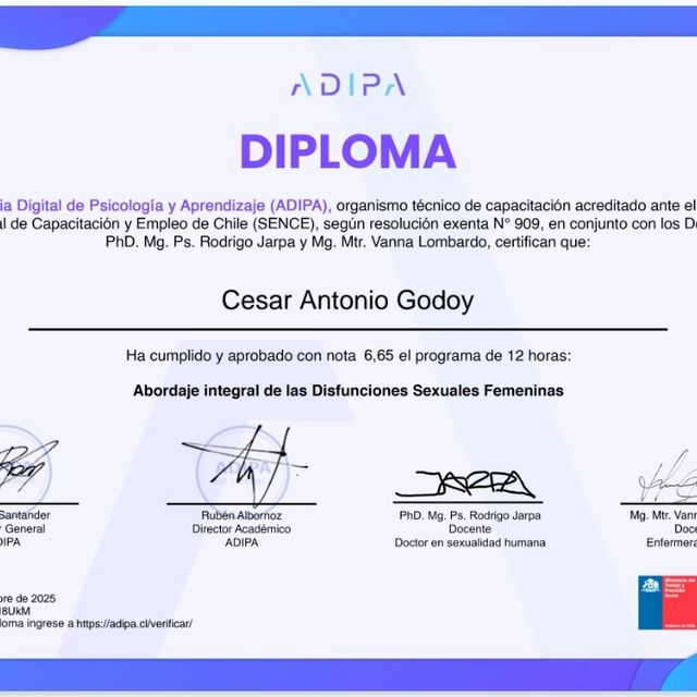 Acercar imagen: certificate 14
