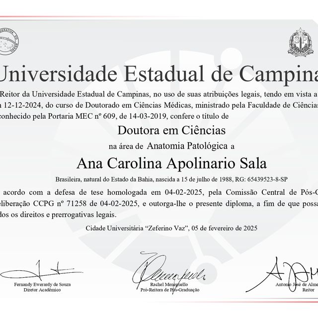 Ampliar imagem: certificate 1
