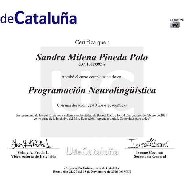 Acercar imagen: certificate 6