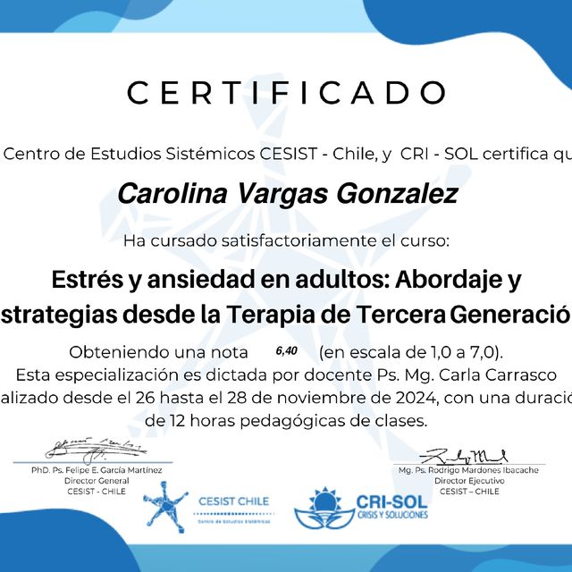 Acercar imagen: certificate 3