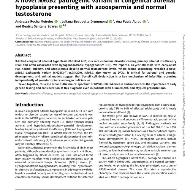 Ampliar imagem: certificate 3