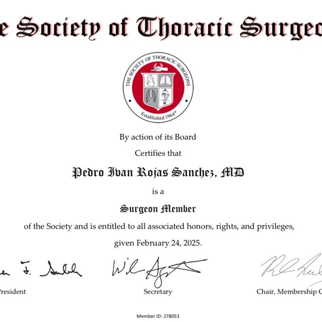 Acercar imagen: certificate 1