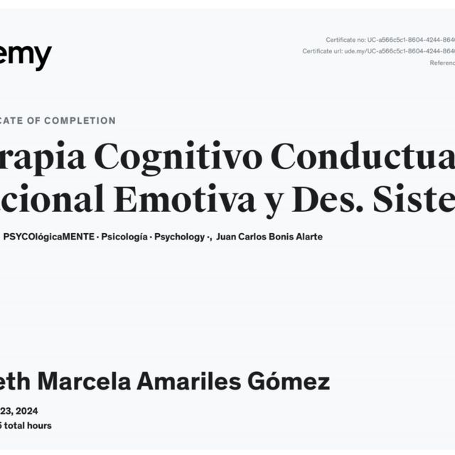 Acercar imagen: certificate 7