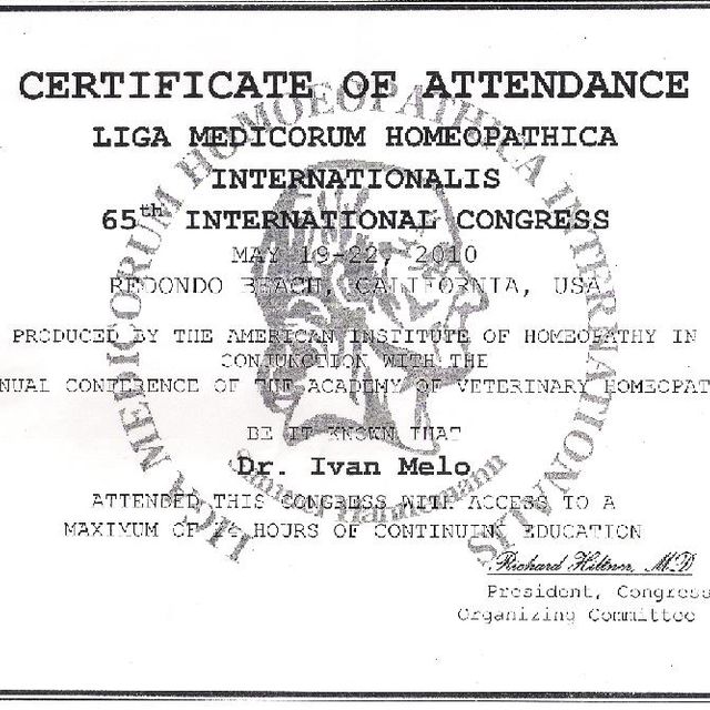 Acercar imagen: certificate 20