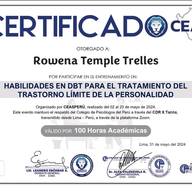 Acercar imagen: certificate 13